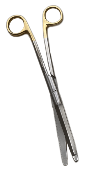 Wilson-Mooreville-Scissors2 Wilson-Mooreville-Scissors2